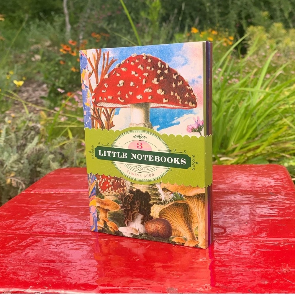Mushroom Little Books - Set of 3 Notebooks, Nature Themed Journals, NWT - Picture 3 of 7